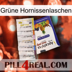 Grüne Hornissenlaschen 11